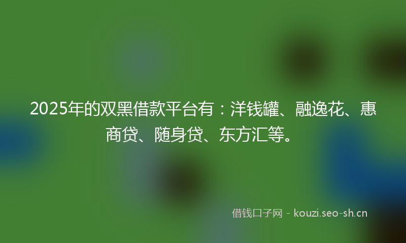 2025年的双黑借款平台有：洋钱罐、融逸花、惠商贷、随身贷、东方汇等。