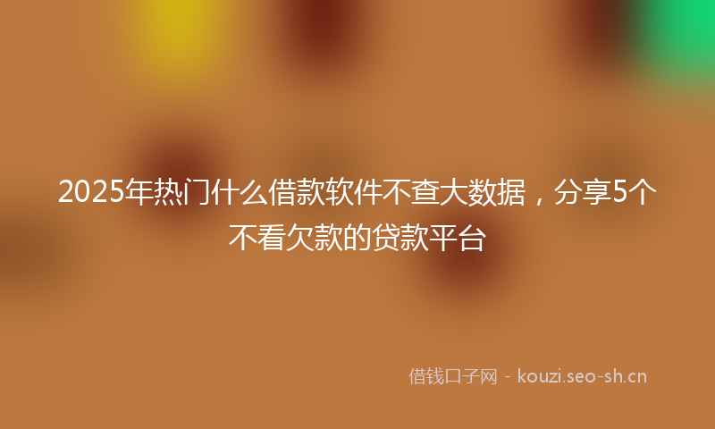 2025年热门什么借款软件不查大数据，分享5个不看欠款的贷款平台