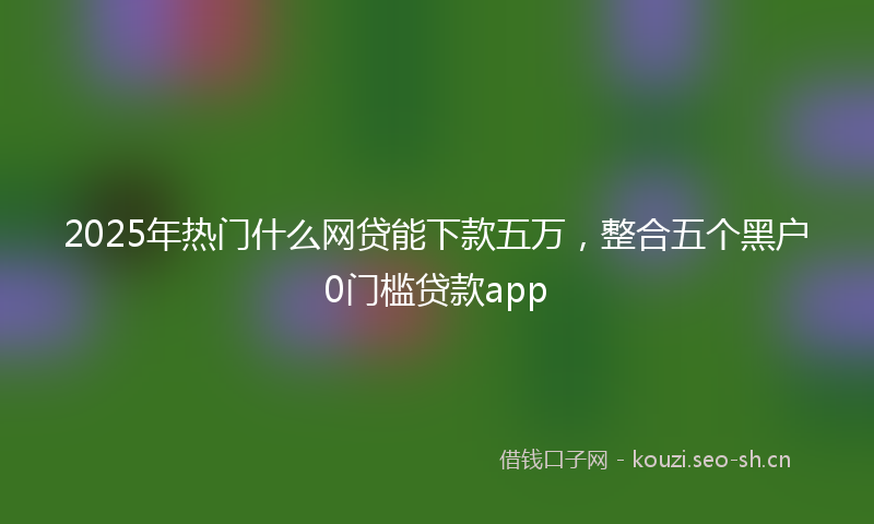 2025年热门什么网贷能下款五万，整合五个黑户0门槛贷款app