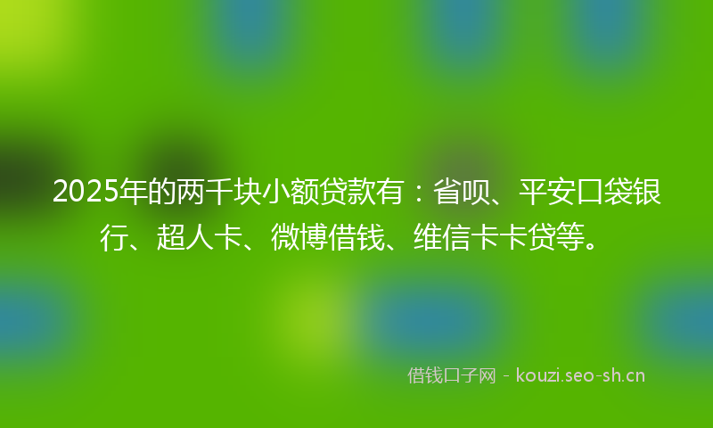 2025年的两千块小额贷款有：省呗、平安口袋银行、超人卡、微博借钱、维信卡卡贷等。