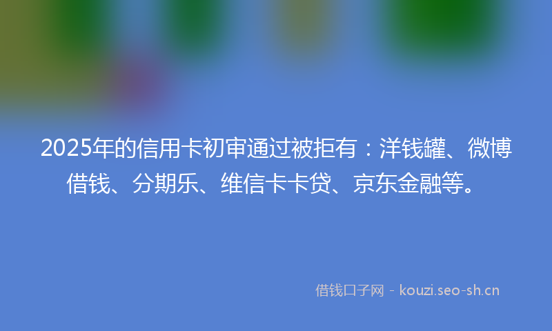 2025年的信用卡初审通过被拒有：洋钱罐、微博借钱、分期乐、维信卡卡贷、京东金融等。
