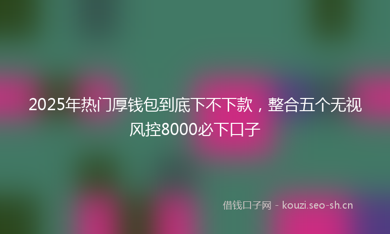2025年热门厚钱包到底下不下款，整合五个无视风控8000必下口子