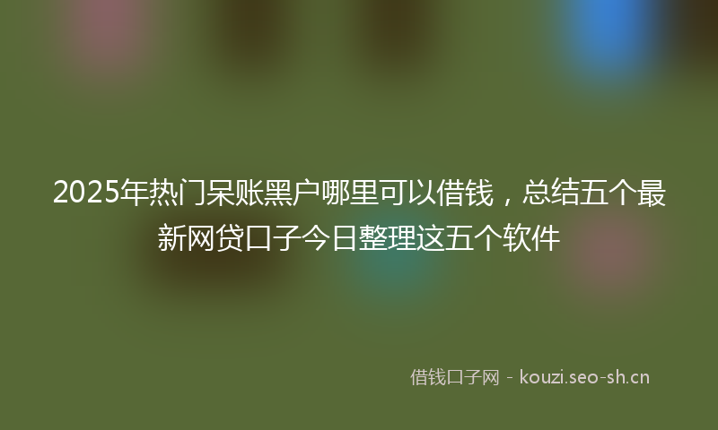 2025年热门呆账黑户哪里可以借钱，总结五个最新网贷口子今日整理这五个软件