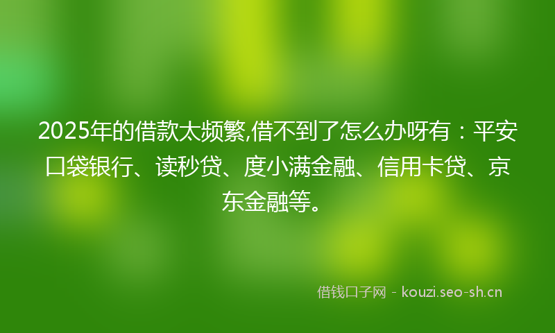2025年的借款太频繁,借不到了怎么办呀有：平安口袋银行、读秒贷、度小满金融、信用卡贷、京东金融等。