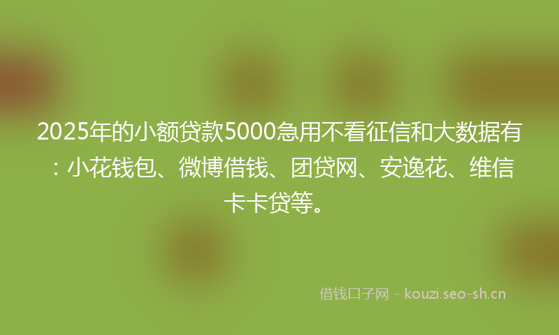 2025年的小额贷款5000急用不看征信和大数据有：小花钱包、微博借钱、团贷网、安逸花、维信卡卡贷等。