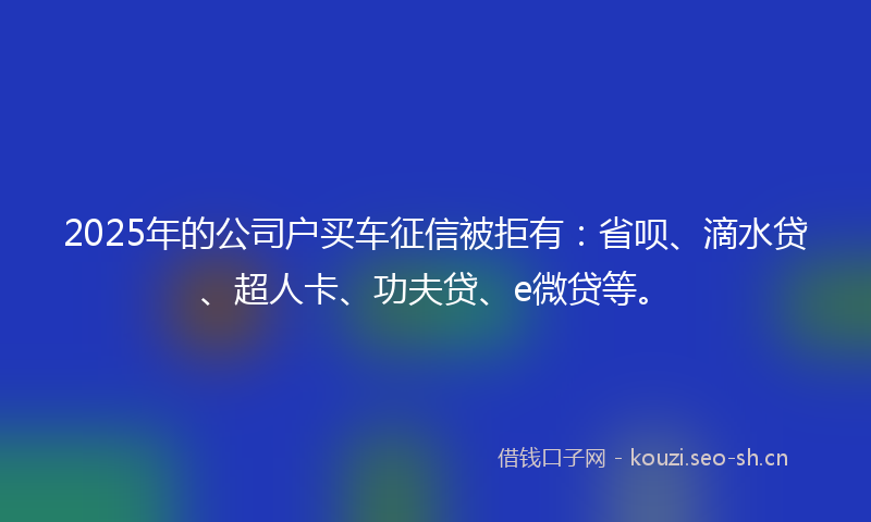 2025年的公司户买车征信被拒有：省呗、滴水贷、超人卡、功夫贷、e微贷等。
