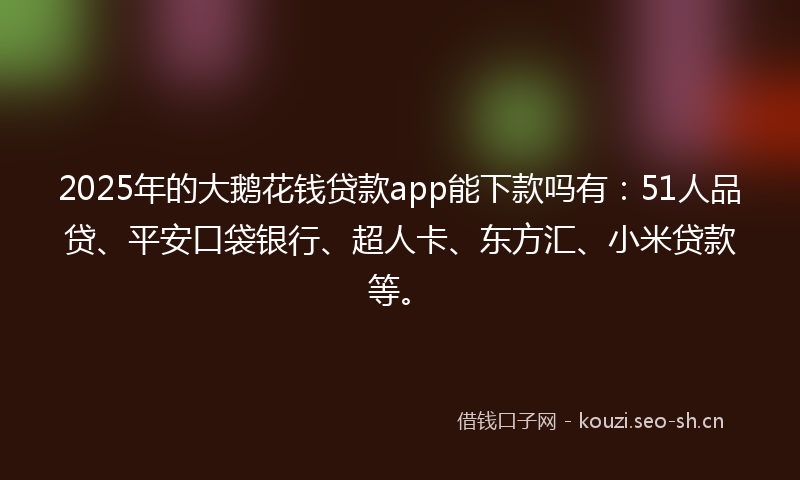 2025年的大鹅花钱贷款app能下款吗有：51人品贷、平安口袋银行、超人卡、东方汇、小米贷款等。