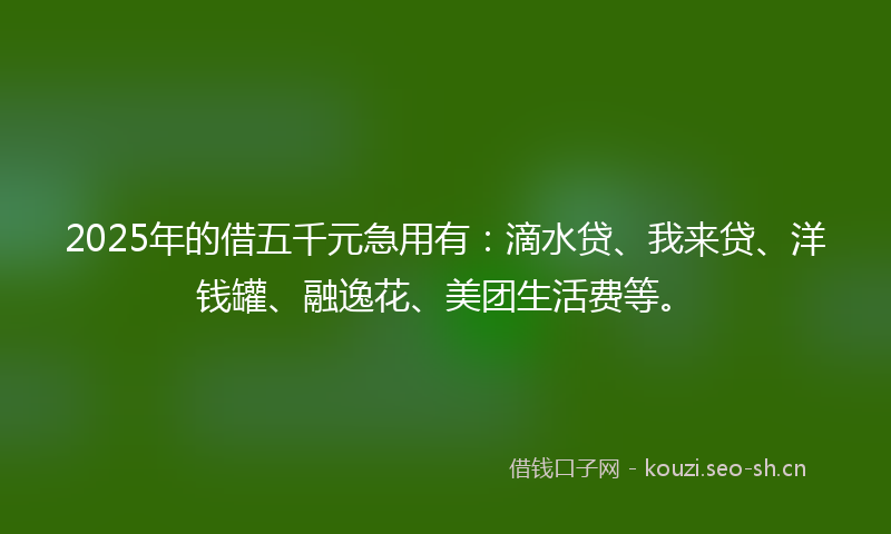 2025年的借五千元急用有：滴水贷、我来贷、洋钱罐、融逸花、美团生活费等。