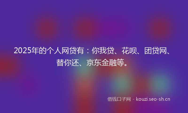 2025年的个人网贷有：你我贷、花呗、团贷网、替你还、京东金融等。