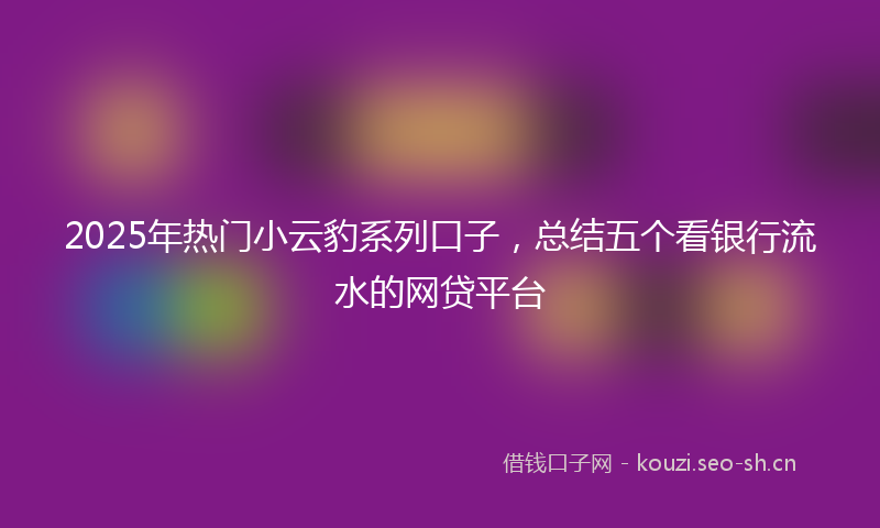 2025年热门小云豹系列口子,总结五个看银行流水的网贷平台
