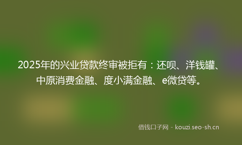 2025年的兴业贷款终审被拒有：还呗、洋钱罐、中原消费金融、度小满金融、e微贷等。