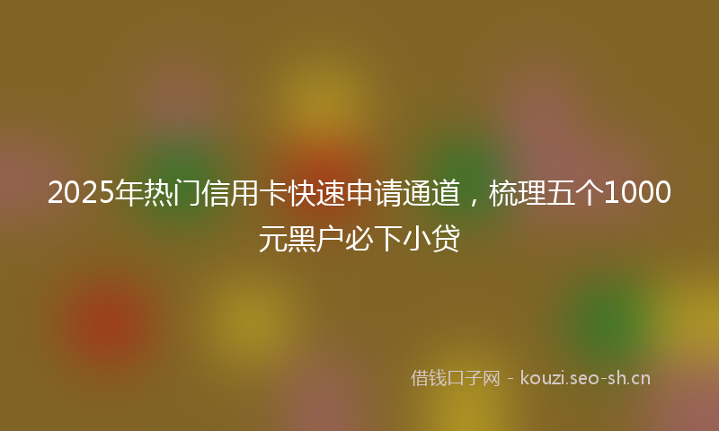 2025年热门信用卡快速申请通道，梳理五个1000元黑户必下小贷