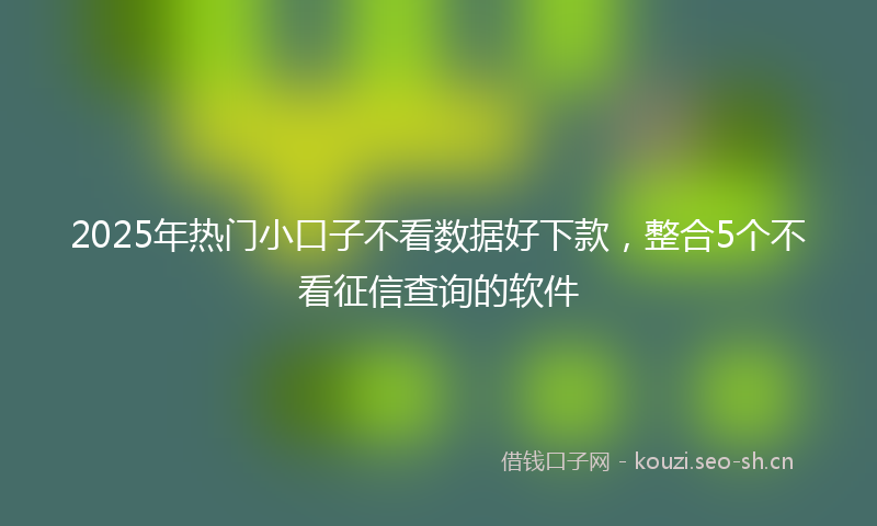 2025年热门小口子不看数据好下款，整合5个不看征信查询的软件
