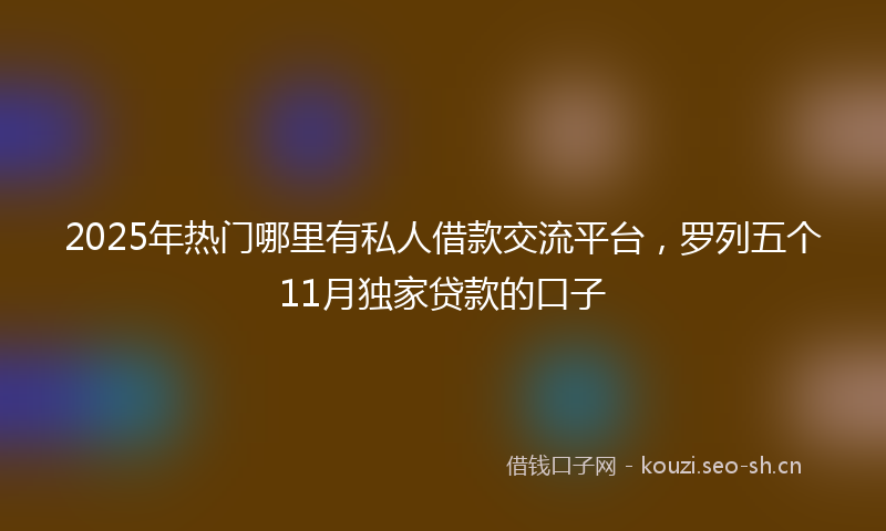 2025年热门哪里有私人借款交流平台，罗列五个11月独家贷款的口子