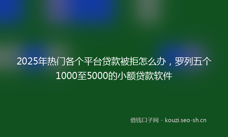 2025年热门各个平台贷款被拒怎么办，罗列五个1000至5000的小额贷款软件