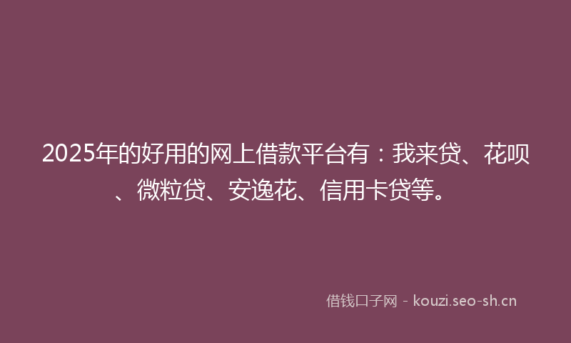 2025年的好用的网上借款平台有：我来贷、花呗、微粒贷、安逸花、信用卡贷等。