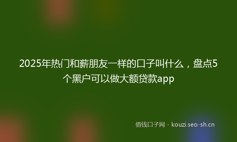 2025年热门和薪朋友一样的口子叫什么，盘点5个黑户可以做大额贷款app