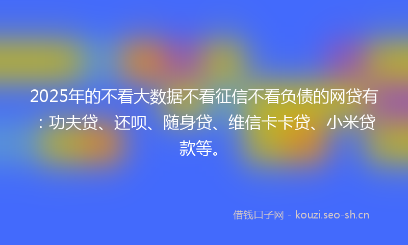 2025年的不看大数据不看征信不看负债的网贷有：功夫贷、还呗、随身贷、维信卡卡贷、小米贷款等。