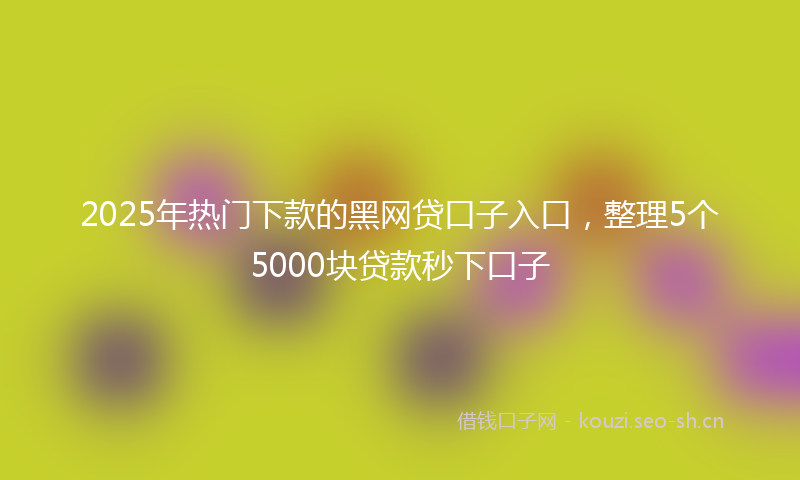 2025年热门下款的黑网贷口子入口，整理5个5000块贷款秒下口子