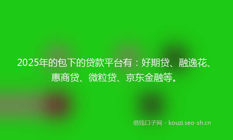 2025年的包下的贷款平台有：好期贷、融逸花、惠商贷、微粒贷、京东金融等。