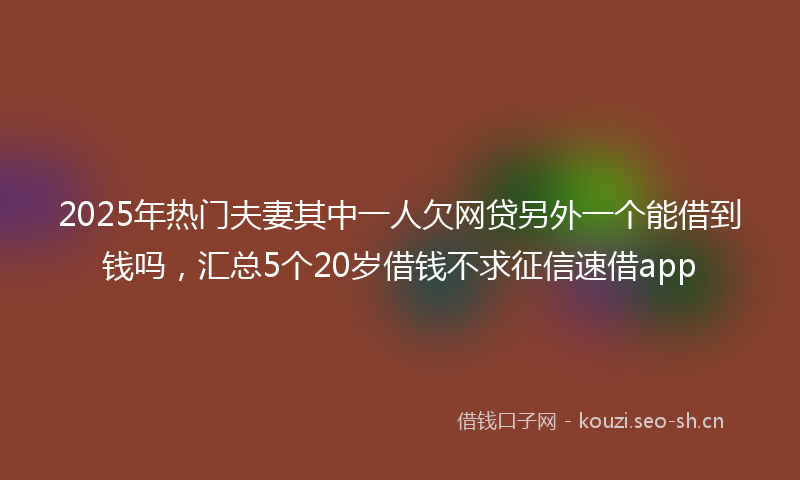 2025年热门夫妻其中一人欠网贷另外一个能借到钱吗，汇总5个20岁借钱不求征信速借app