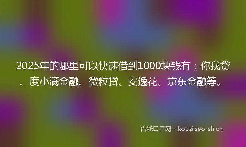 2025年的哪里可以快速借到1000块钱有：你我贷、度小满金融、微粒贷、安逸花、京东金融等。