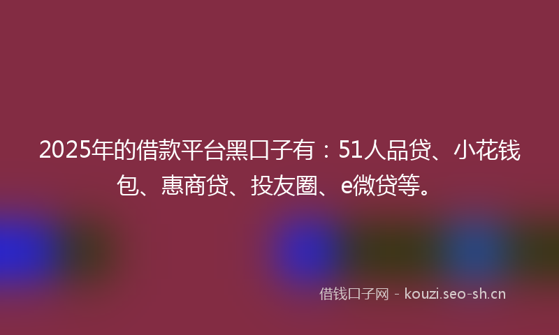 2025年的借款平台黑口子有：51人品贷、小花钱包、惠商贷、投友圈、e微贷等。