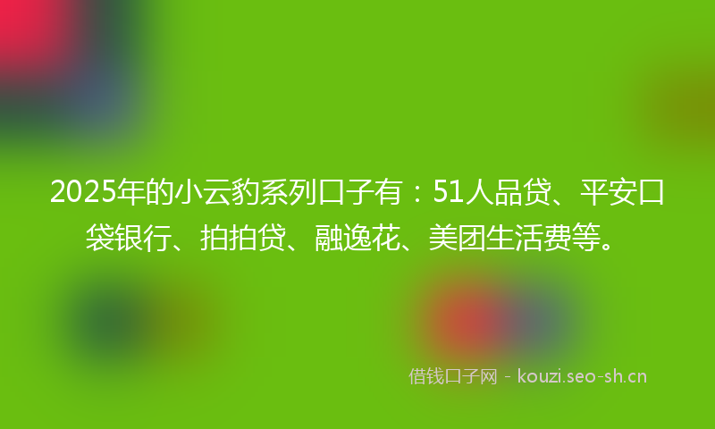 2025年的小云豹系列口子有:51人品贷、平安口袋银行、拍拍贷、融逸花、美团生活费等。