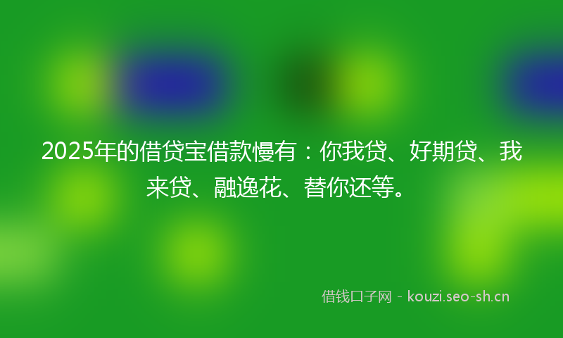 2025年的借贷宝借款慢有：你我贷、好期贷、我来贷、融逸花、替你还等。