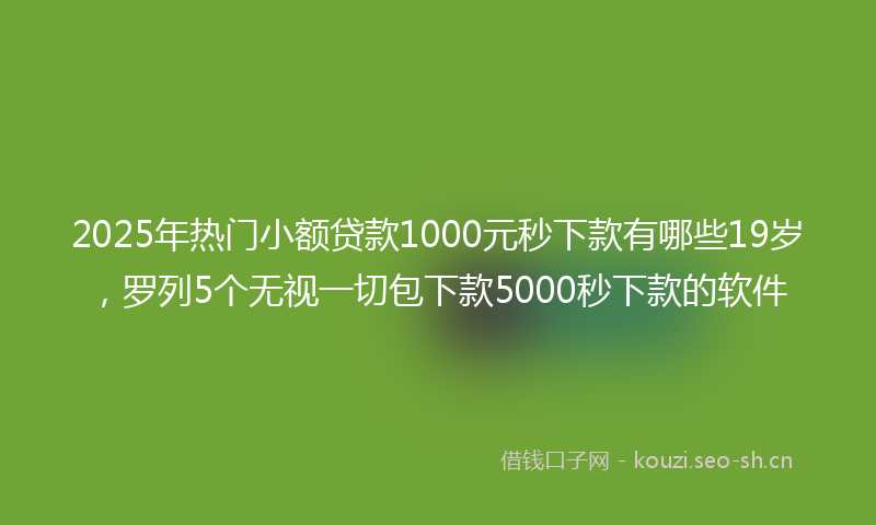 2025年热门小额贷款1000元秒下款有哪些19岁，罗列5个无视一切包下款5000秒下款的软件