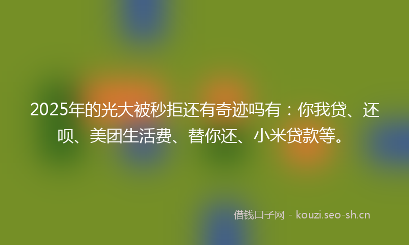 2025年的光大被秒拒还有奇迹吗有：你我贷、还呗、美团生活费、替你还、小米贷款等。