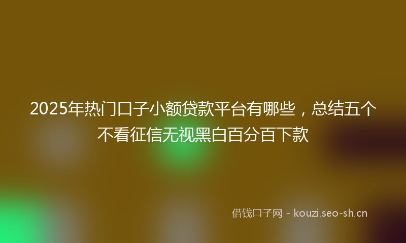 2025年热门口子小额贷款平台有哪些，总结五个不看征信无视黑白百分百下款