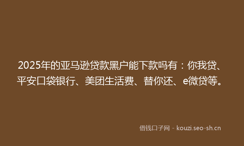 2025年的亚马逊贷款黑户能下款吗有：你我贷、平安口袋银行、美团生活费、替你还、e微贷等。