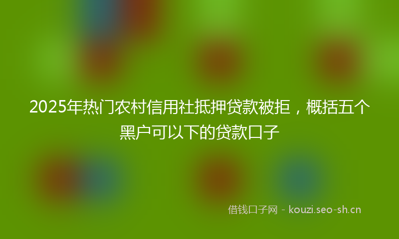 2025年热门农村信用社抵押贷款被拒，概括五个黑户可以下的贷款口子