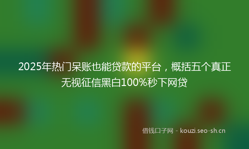 2025年热门呆账也能贷款的平台，概括五个真正无视征信黑白100%秒下网贷