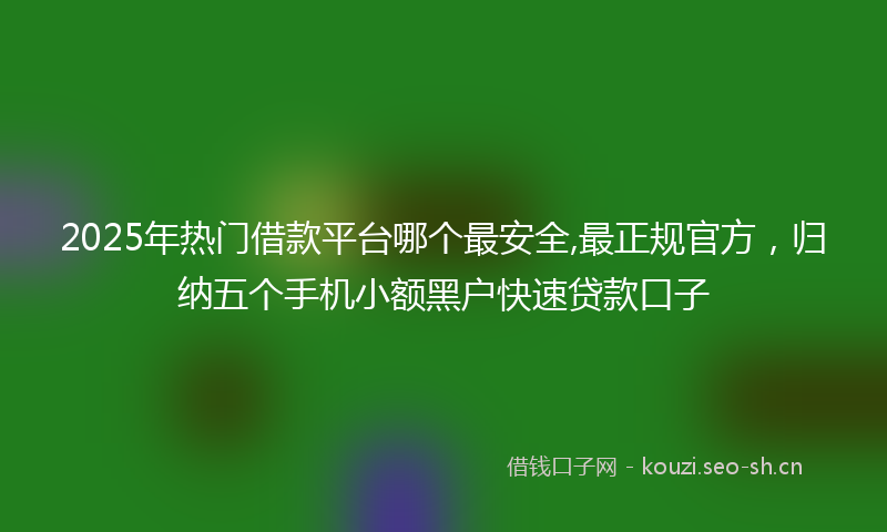2025年热门借款平台哪个最安全,最正规官方，归纳五个手机小额黑户快速贷款口子