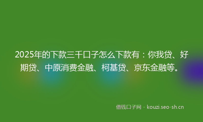 2025年的下款三千口子怎么下款有：你我贷、好期贷、中原消费金融、柯基贷、京东金融等。