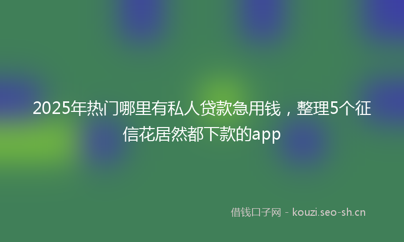 2025年热门哪里有私人贷款急用钱，整理5个征信花居然都下款的app