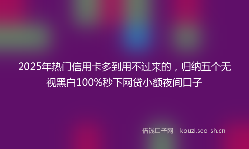 2025年热门信用卡多到用不过来的，归纳五个无视黑白100%秒下网贷小额夜间口子