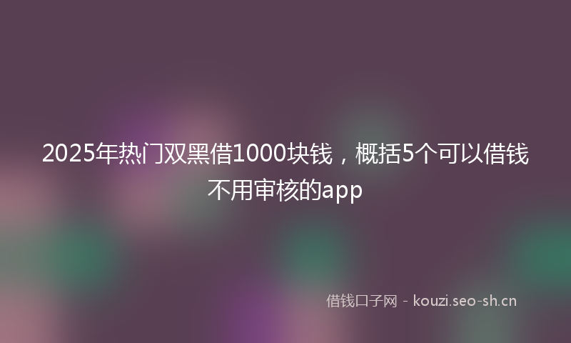 2025年热门双黑借1000块钱，概括5个可以借钱不用审核的app