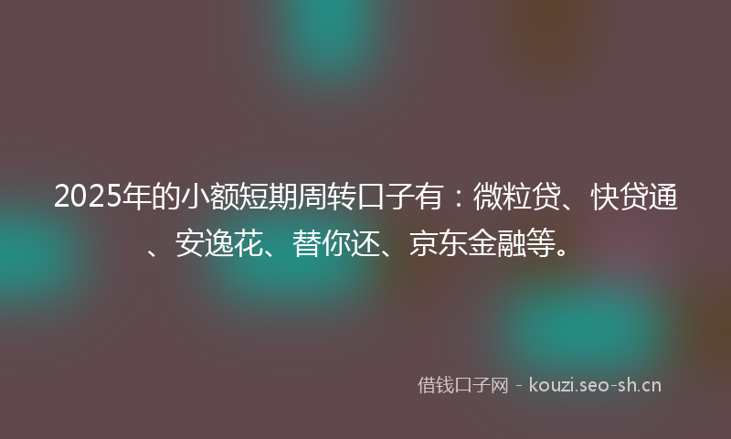 2025年的小额短期周转口子有：微粒贷、快贷通、安逸花、替你还、京东金融等。