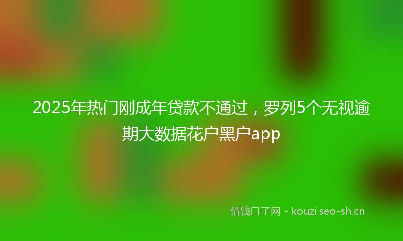 2025年热门刚成年贷款不通过，罗列5个无视逾期大数据花户黑户app