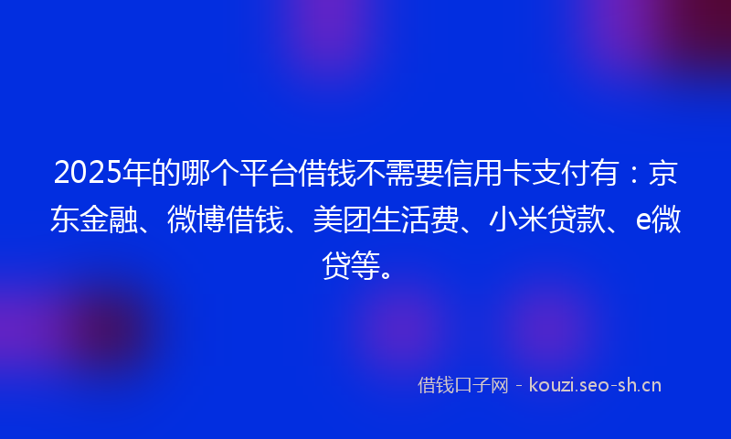 2025年的哪个平台借钱不需要信用卡支付有：京东金融、微博借钱、美团生活费、小米贷款、e微贷等。