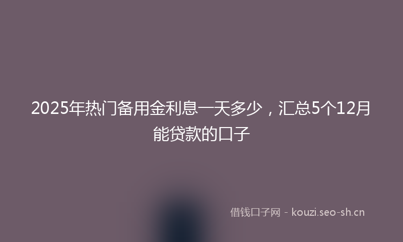 2025年热门备用金利息一天多少，汇总5个12月能贷款的口子