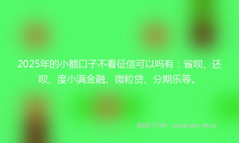 2025年的小额口子不看征信可以吗有：省呗、还呗、度小满金融、微粒贷、分期乐等。