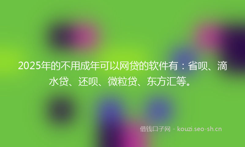 2025年的不用成年可以网贷的软件有：省呗、滴水贷、还呗、微粒贷、东方汇等。