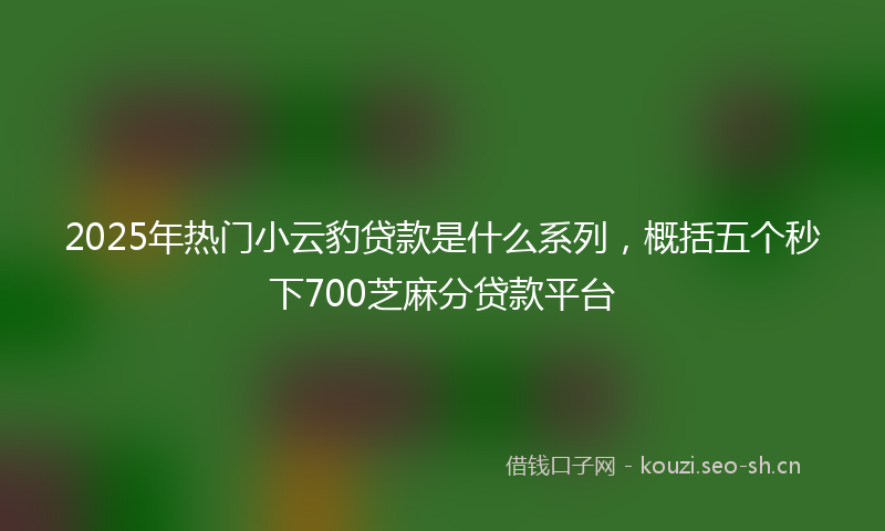 2025年热门小云豹贷款是什么系列，概括五个秒下700芝麻分贷款平台
