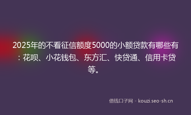 2025年的不看征信额度5000的小额贷款有哪些有：花呗、小花钱包、东方汇、快贷通、信用卡贷等。