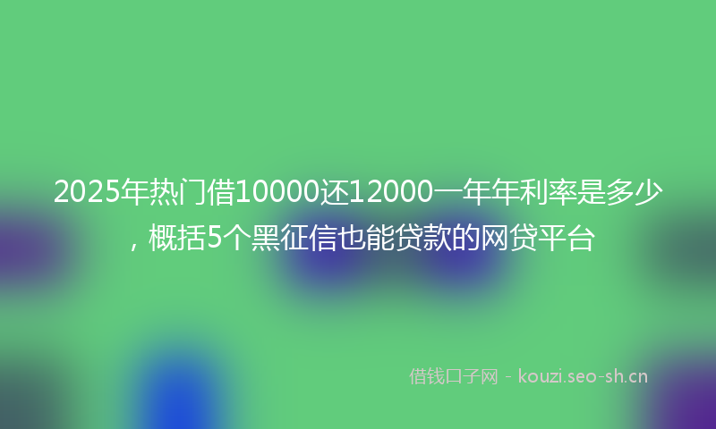 2025年热门借10000还12000一年年利率是多少，概括5个黑征信也能贷款的网贷平台