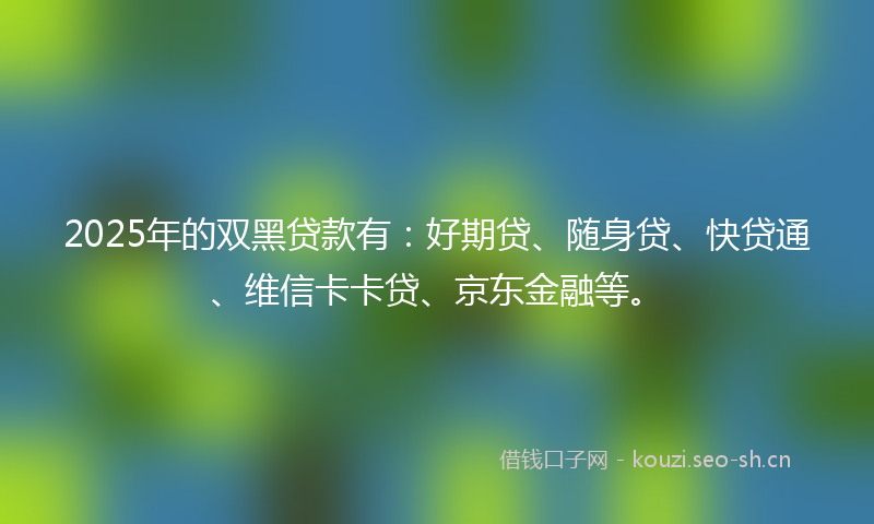 2025年的双黑贷款有：好期贷、随身贷、快贷通、维信卡卡贷、京东金融等。